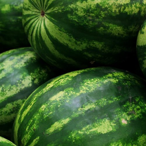 wassermelonen
